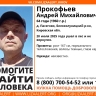 В Кировской области ищут 64-летнего мужчину, потерявшегося в лесу