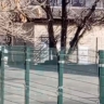 Конфликт возле школы в Приморье закончился выстрелом в голову