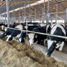 Ярославские аграрии за год произвели продукции на 70,3 млрд рублей