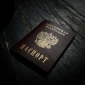 Следователи проверят выдачу гражданства родителям осквернивших георгиевскую ленту детей