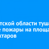 В Иркутской области тушат лесные пожары на площади 695 гектаров