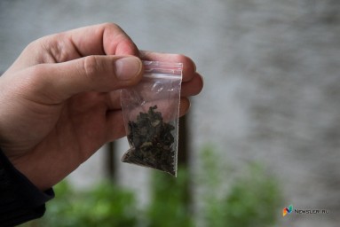 Кировчанин из кустов попал в полицию