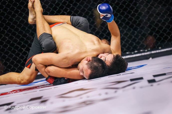 В Якутске пройдут чемпионат и первенство республики по ММА В Якутске пройдут чемпионат и первенство республики по ММА