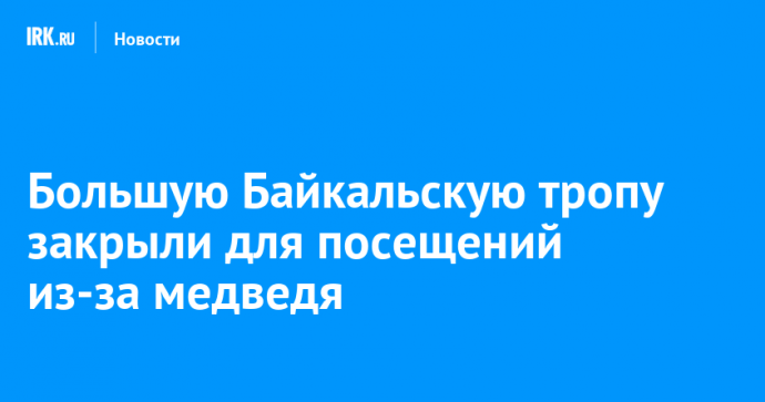 Большую Байкальскую тропу закрыли для посещений из-за медведя