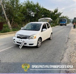 Десятилетний ребёнок попал под колёса в райцентре Приморья