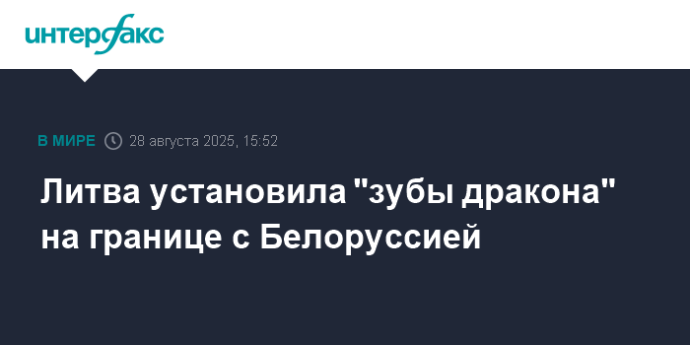 Литва установила "зубы дракона" на границе с Белоруссией