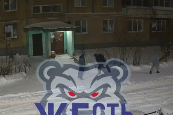 В Ярославле трое молодых людей разнесли двор и разбросали мусор