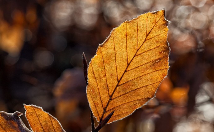 Придёт северный ветер: чего ждать от погоды на юге Сахалина 25 ноября