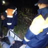 В Башкирии женщина получила травмы во время прогулки в лесу