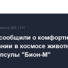 Ученые сообщили о комфортном пребывании в космосе животных на борту капсулы "Бион-М"