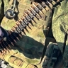 Вологодские контрактники СВО получают одну из самых больших выплат в стране
