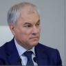 Володин рассказал о вступающих в силу в марте законах по защите граждан