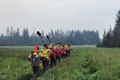 Десять лесных пожаров ликвидировали в Якутии за сутки