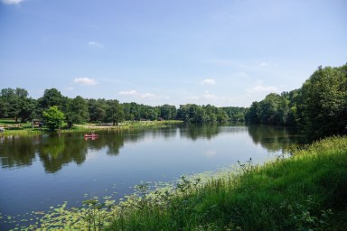Реабилитация Верхнего и Нижнего Кузьминских прудов стартовала в ЮВАО