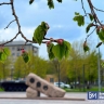 В Магнитогорск идёт аномальное тепло