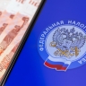 ФНС: сумма ошибочных налоговых платежей сократилась в 35 раз