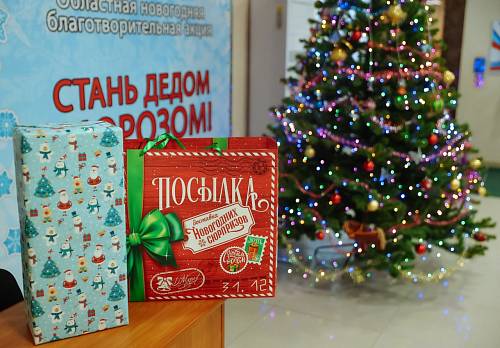 В Амурской области завершилась акция «Стань Дедом Морозом»