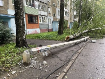 Глава СКР взял на контроль дело о пострадавшем ребенке во время грозы в Ярославле