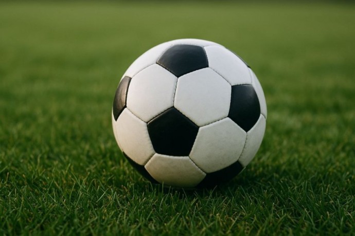 Ушел из жизни легендарный советский футболист Ушел из жизни легендарный советский футболист