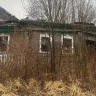 Более 3 тысяч фактически погибших объектов выявлено в Ярославской области с начала года