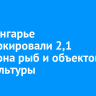 В Приангарье промаркировали 2,1 миллиона рыб и объектов аквакультуры...