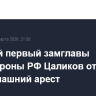 Бывший первый замглавы Минобороны РФ Цаликов отправлен под домашний арест