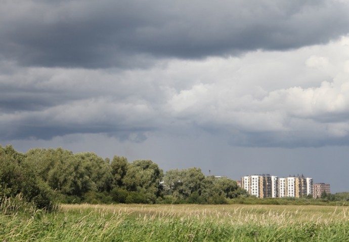 Синоптики предупредили новгородцев о приближении сильных дождей и ветра