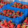 Сколько фруктов и ягод можно давать ребёнку без вреда для здоровья?
