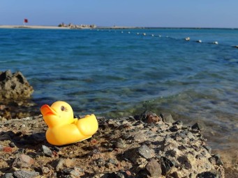 ​Египетская авиакомпания прекратила чартерные рейсы из Перми в Шарм-эш-Шейх