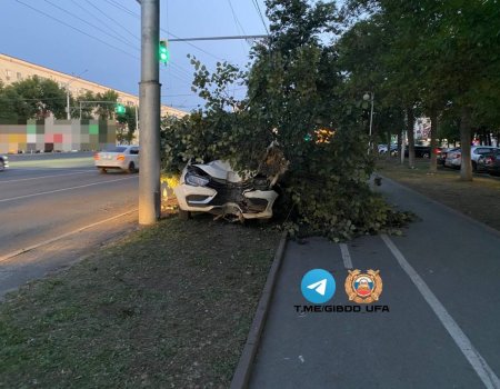 В Уфе водитель за рулем «Лады Весты» врезался в дерево, есть пострадавшие