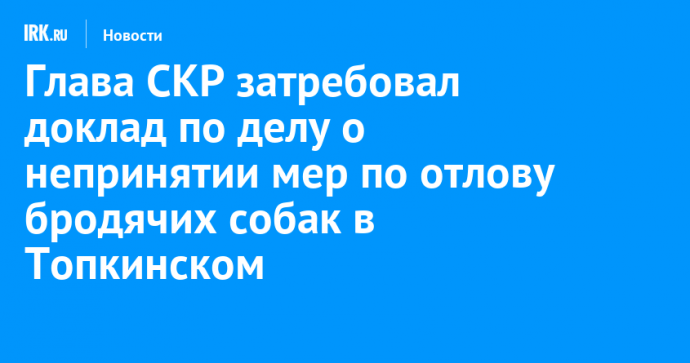 Глава СКР затребовал доклад по делу о непринятии мер по отлову бродячих собак в Топкинском