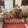 930 шкур хорька нашли в багаже иностранца в российском аэропорту