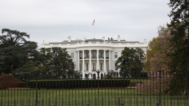 Белый дом справится с "клоунадой" Зеленского, считает экс-советник Трампа
