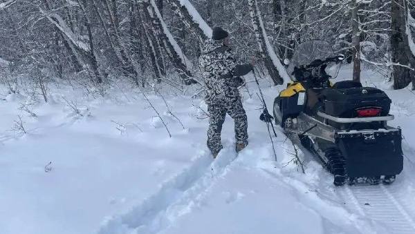 В Тульской области считают зверей: стартовал зимний учёт