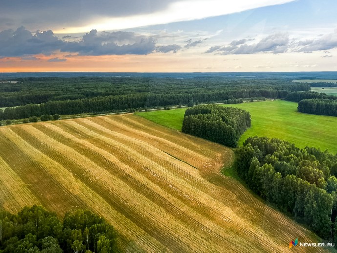 В Белохолуницком районе государству вернули участок леса площадью более 30 гектаров В Белохолуницком районе государству вернули участок леса площадью более 30 гектаров