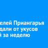 47 жителей Приангарья пострадали от укусов клещей за неделю