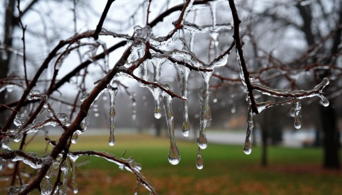Жителям Московской области напомнили о правилах безопасности во время ледяного дождя Жителям Московской области напомнили о правилах безопасности во время ледяного дождя