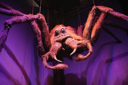 В российском нацпарке новую пещеру назвали в честь персонажа из «Гарри Поттера» В российском нацпарке новую пещеру назвали в честь персонажа из «Гарри Поттера»