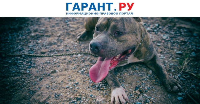 Пострадавшим от нападения животных намерены выплачивать компенсацию в 1 млн руб.