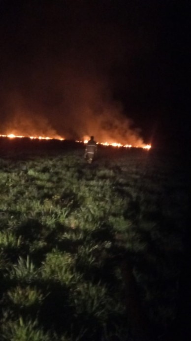В Курском районе ликвидировали пожар на поле
