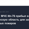 Самолет МЧС Ил-76 прибыл в Астраханскую область для защиты от природных пожаров