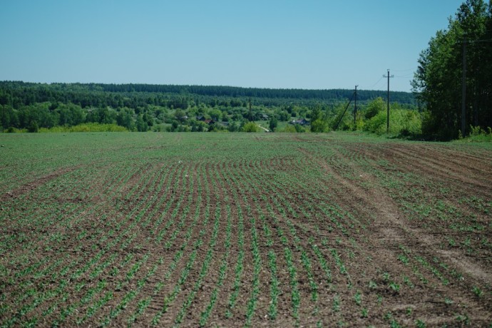 В одном из районов Пензенской области вскрыли нарушения при работе с пестицидами В одном из районов Пензенской области вскрыли нарушения при работе с пестицидами