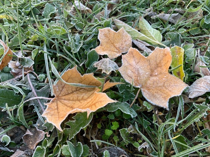 В Ярославской области в выходные ожидаются похолодание и дождь со снегом В Ярославской области в выходные ожидаются похолодание и дождь со снегом