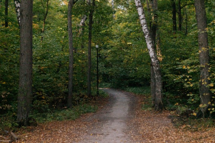 Какая погода ожидает пензенцев 27 сентября? Какая погода ожидает пензенцев 27 сентября?