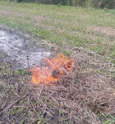 В районе в Башкирии загорелась сухая трава