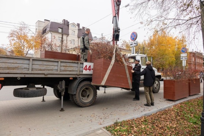 В Кирове начали убирать кадки с растениями перед зимой