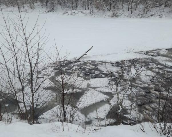 На озере в Башкирии больше 200 баранов погибли, провалившись под лед