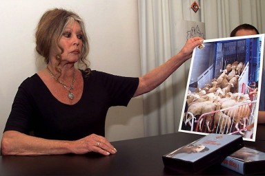 "Красота – это тоже талант". Чем навсегда запомнится Бриджит Бардо