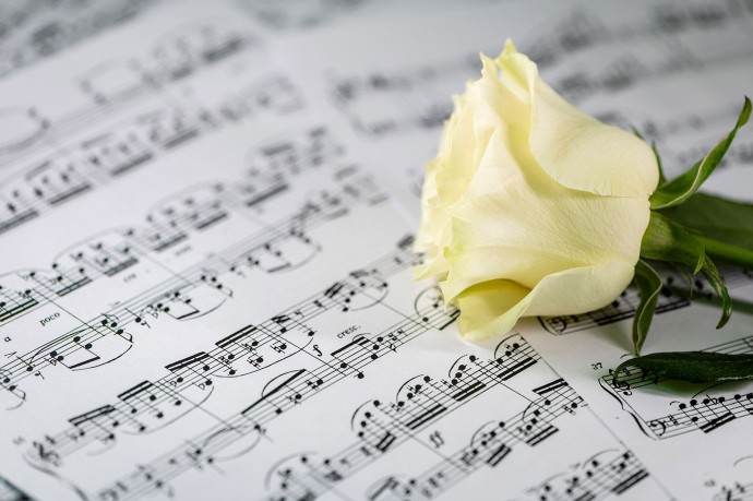 Песни венских классиков. Моцарт. Гайдн. Бетховен. Шуберт