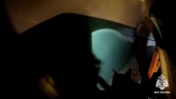 В Новомосковске пожарные эвакуировали 2 человек и спасли кошку